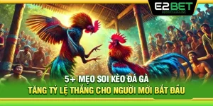 5+ Mẹo Soi Kèo Đá Gà Tăng Tỷ Lệ Thắng Cho Người Mới Bắt Đầu 