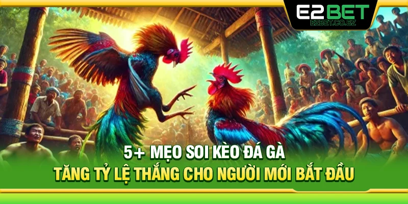 5+ Mẹo Soi Kèo Đá Gà Tăng Tỷ Lệ Thắng Cho Người Mới Bắt Đầu 