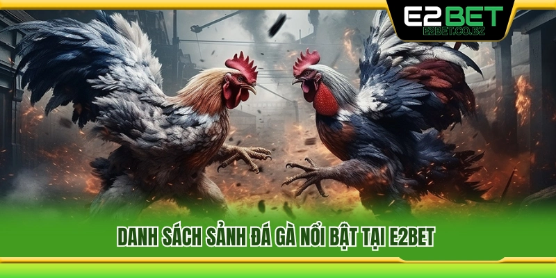 Đá Gà E2bet 2 Tổng hợp các sảnh đá gà đáng chú ý