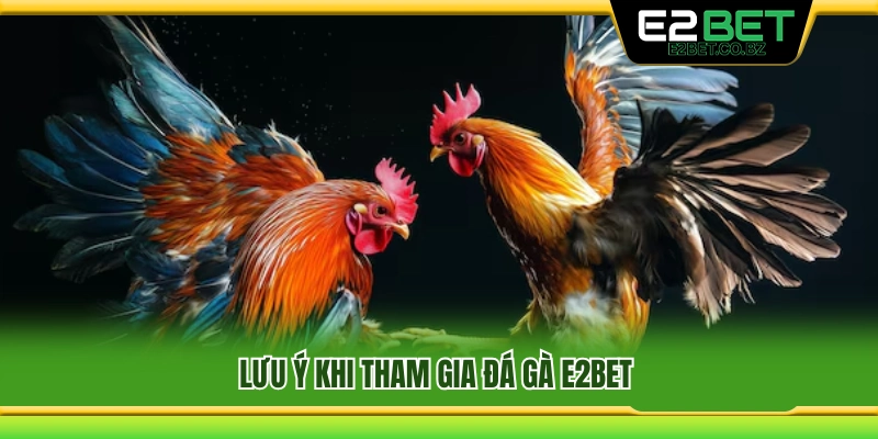 Đá Gà E2bet 3 Những điều cần biết trước khi tham gia đá gà E2Bet