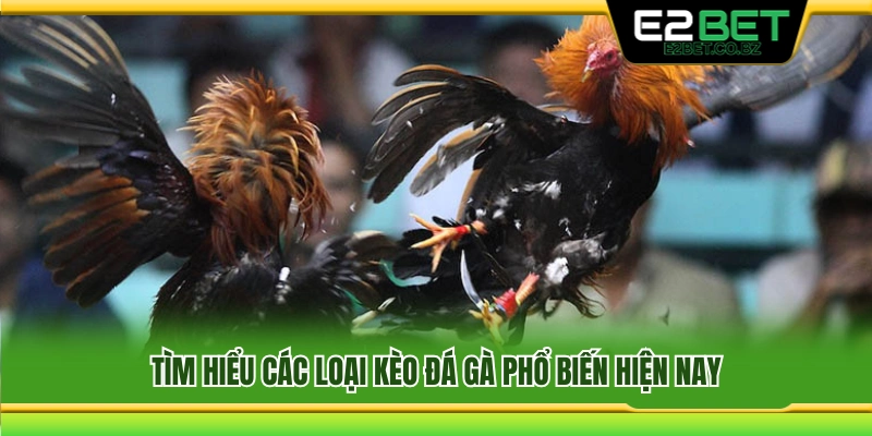 Tìm hiểu những hình thức cược đá gà phổ biến 