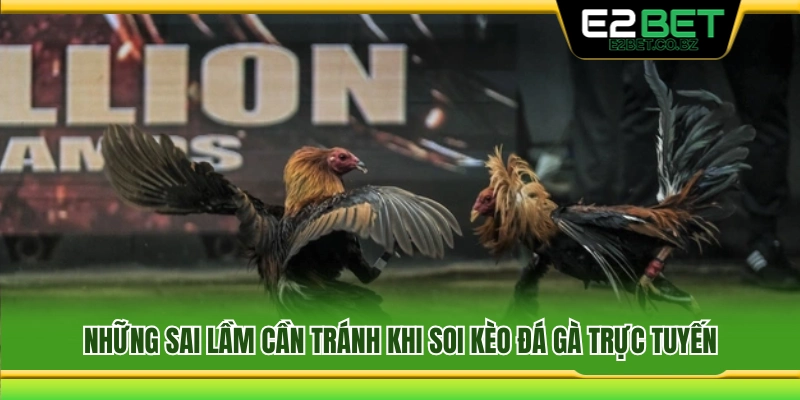 Các lỗi thường gặp khi theo dõi đá gà trực tuyến 